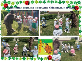 Проект "Удивительный мин насекомых" Проект "Удивительный мин насекомых".