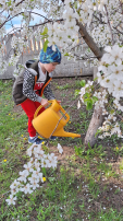 Кто такие эколята Кто такие эколята.